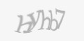 Защитный код